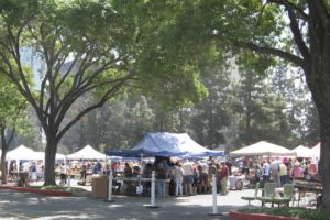 Topanga Vintage Market on Collectors Bluebook