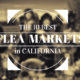 “Top 10 California Fleas”